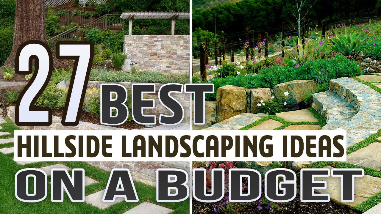 Best Hillside Landscaping Ideas on a Budget