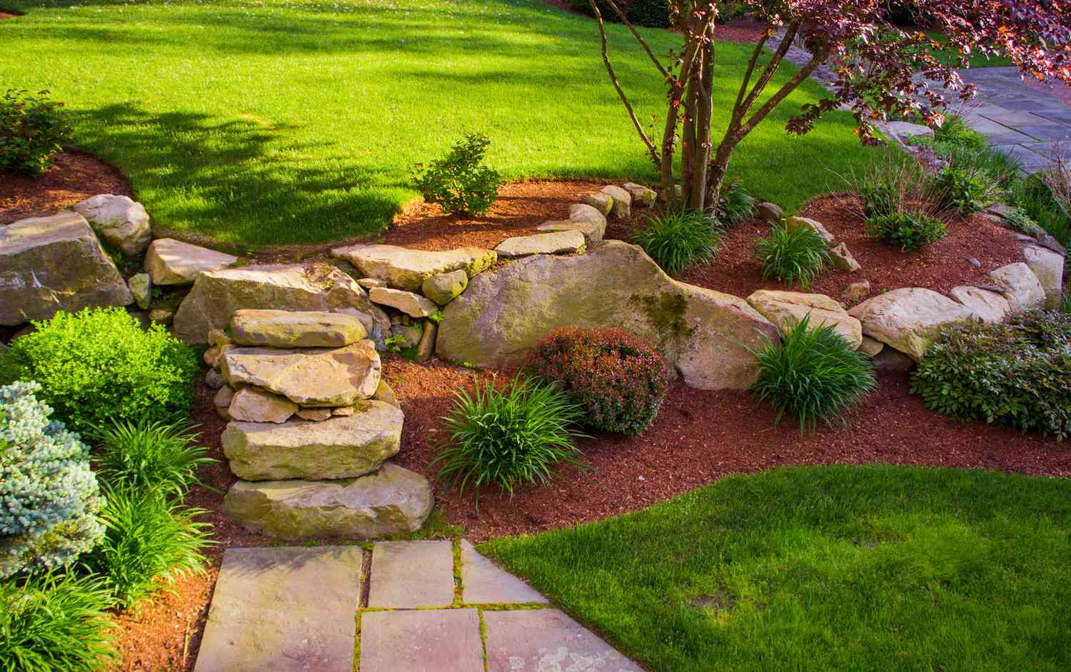Budget Front Yard Landscaping Ideas That Are Simple and Beautiful