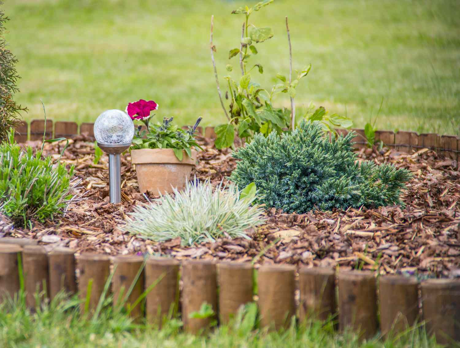 Budget-Saving Garden Edging Ideas for a Sharp Yard