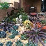 10 Stunning Desert Landscape Ideas For Your Outdoor Oasis