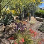 10 Desert Landscaping Ideas For A Stunning Oasis