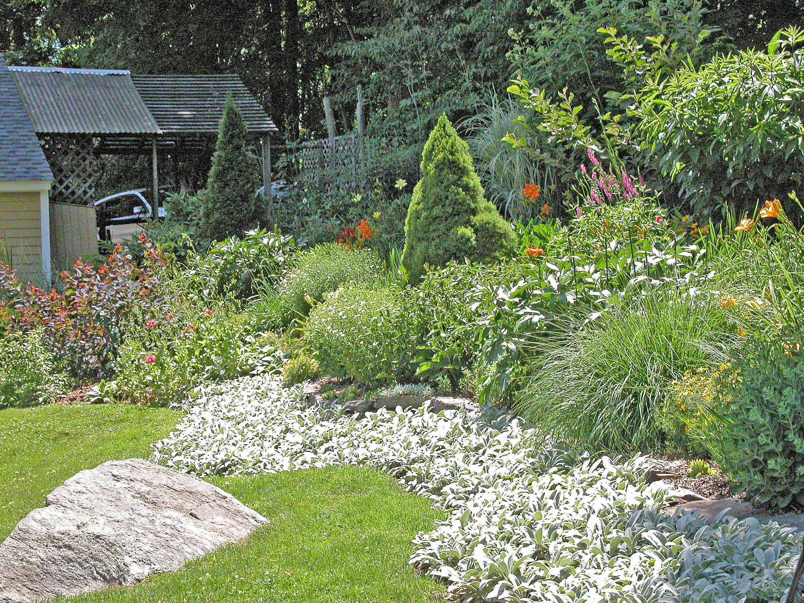 How to Garden on a Slope:  Ideas for Hillsides