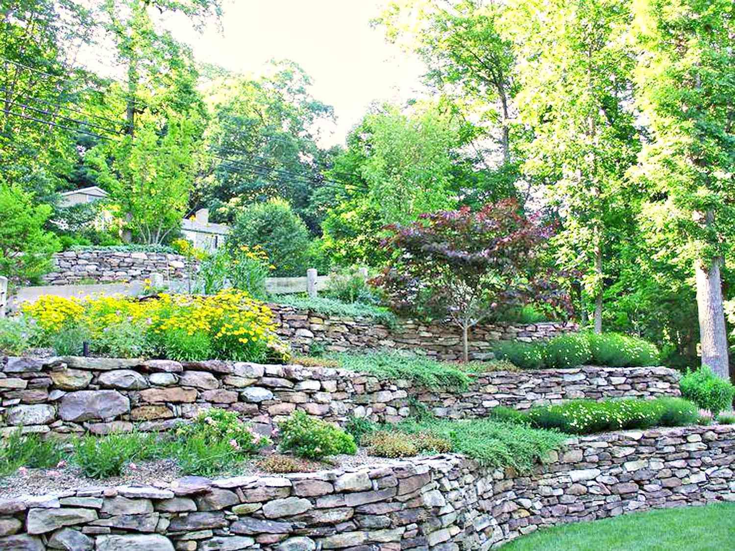 How to Garden on a Slope:  Ideas for Hillsides