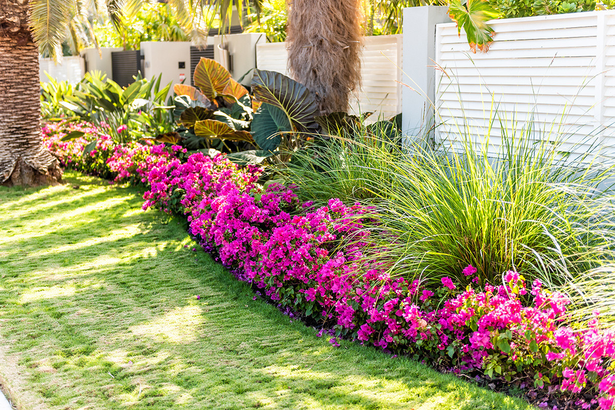 Landscaping ideas for Florida curb appeal - Passage Island