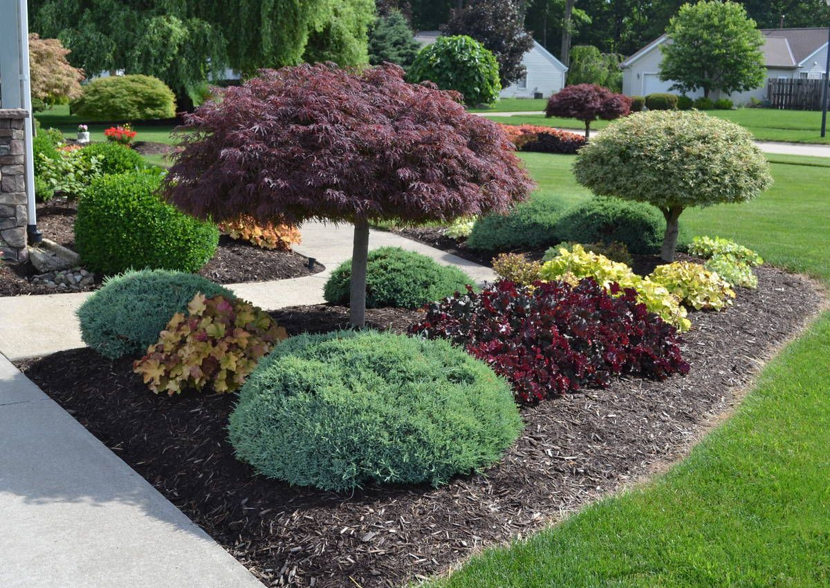 Landscaping Ideas with Photos