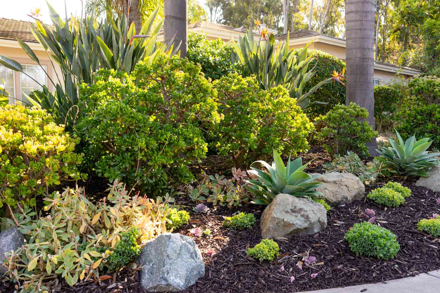 Landscaping on a Budget:  Easy Money-Saving Ideas