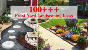 10 Affordable And Easy Front Yard Landscaping Ideas For A Beautiful Outdoor Space