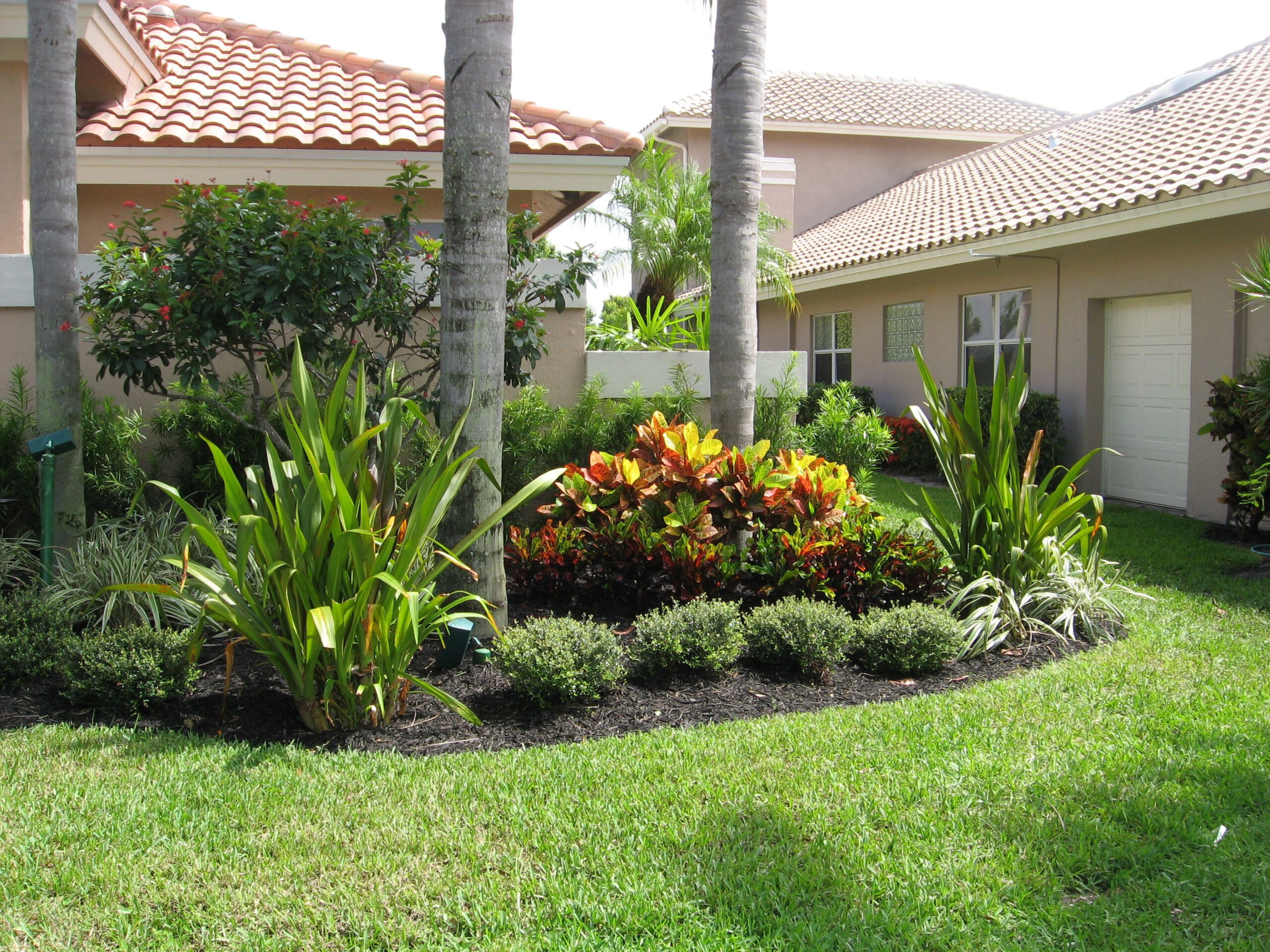 with lantana  Florida landscaping, Front yard landscaping design